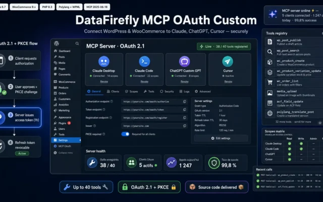 DataFIrefly MCP OAuth IA Custom wordpress Module