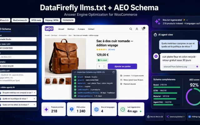DataFirefly llms.txt + AEO Schema
