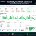 DataFirefly Real Profit Dashboard — Module WooCommerce