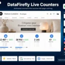 DataFirefly Live Counters — WordPress plugin